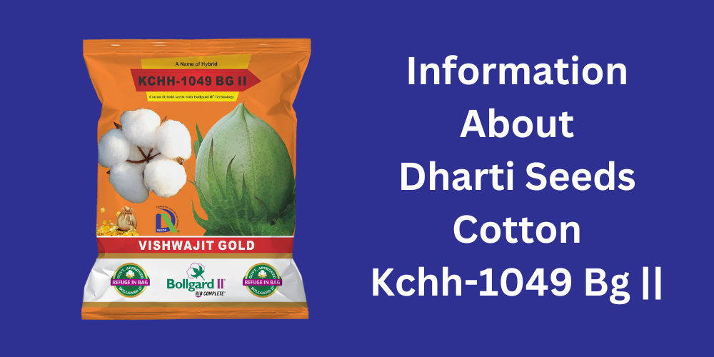 wheat Dharti Seeds