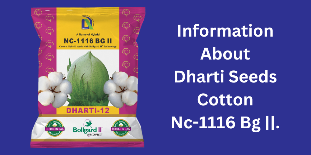 soyabean Dharti Seeds